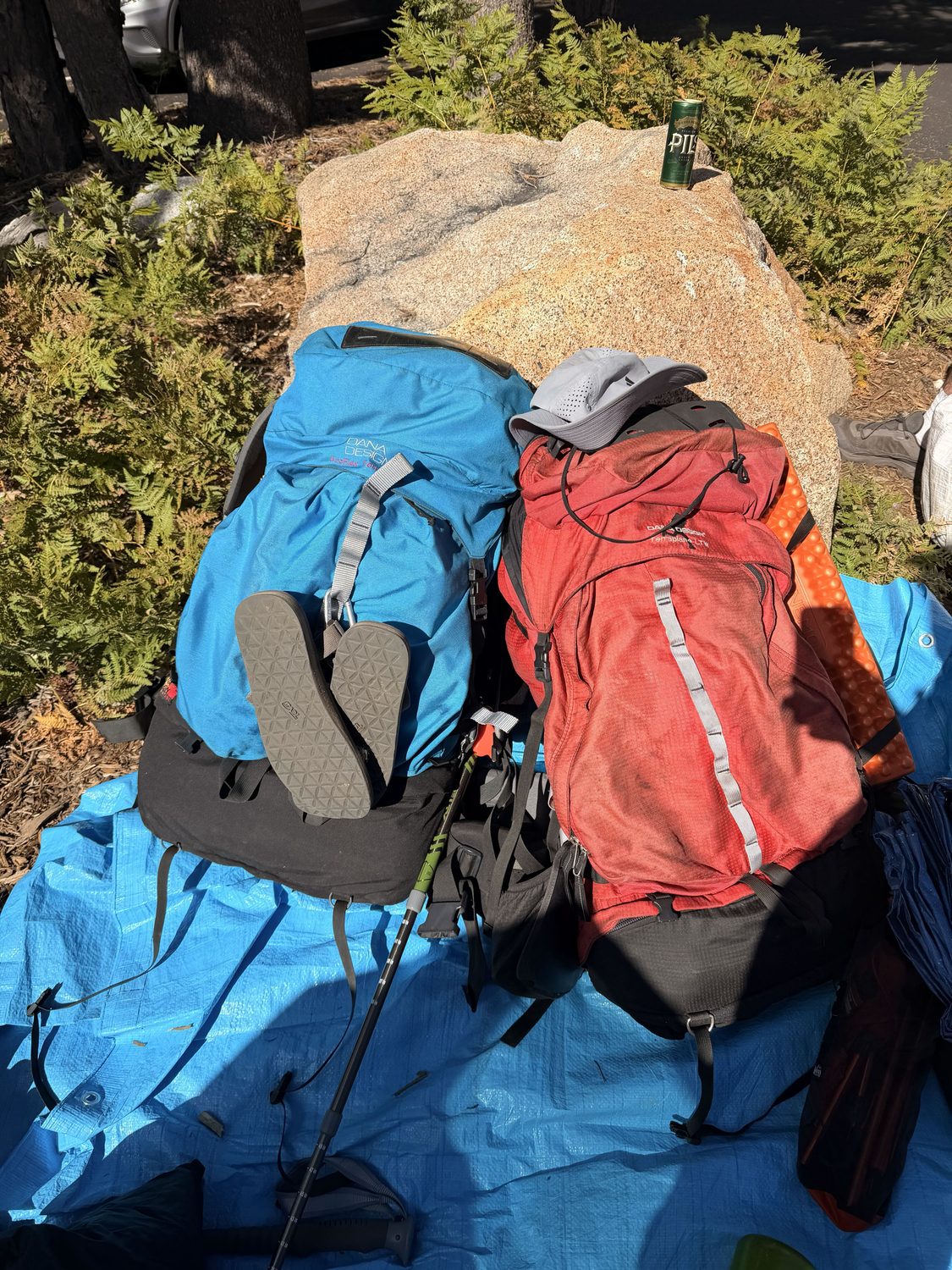 Two Dana Design backpacks, a blue ArcFlex and a red Terraplane LTW, on a tarp at a trailhead