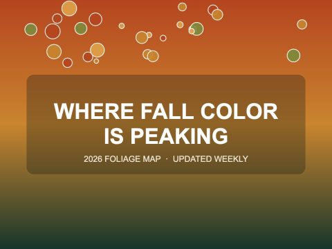 2026 fall foliage map showing where color is peaking